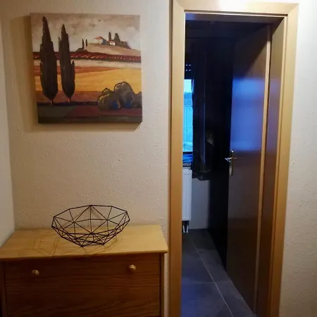 Apartment Ferienhof Dachsberg Ahausen (Baden-Wurttemberg)