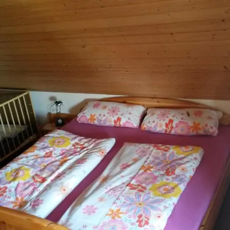 Apartment Ferienhof Dachsberg Ahausen (Baden-Wurttemberg)